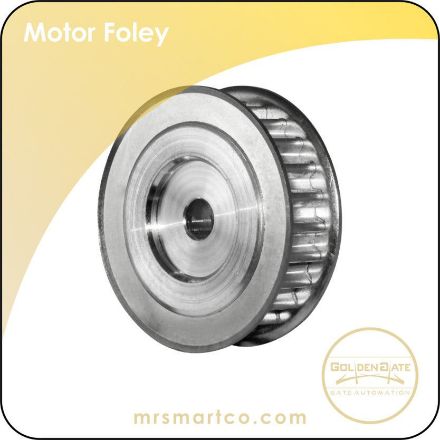 Picture of Foley Motor